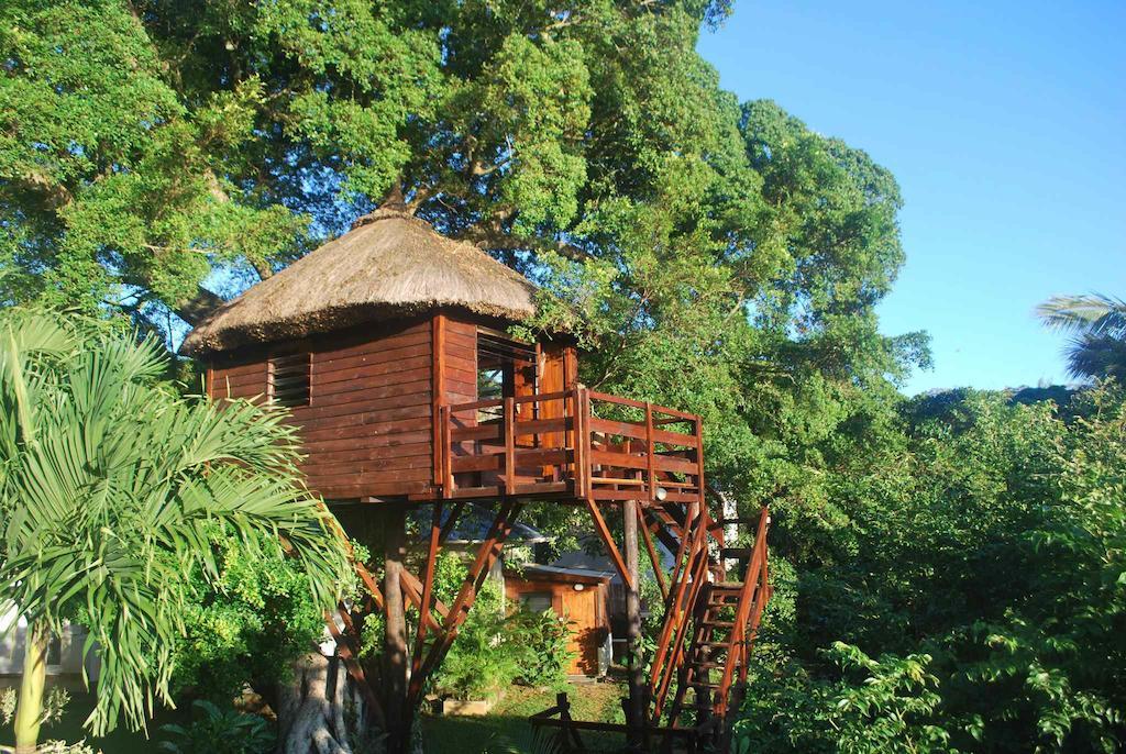 Tree Lodge Mauritius Belle Mare Quarto foto